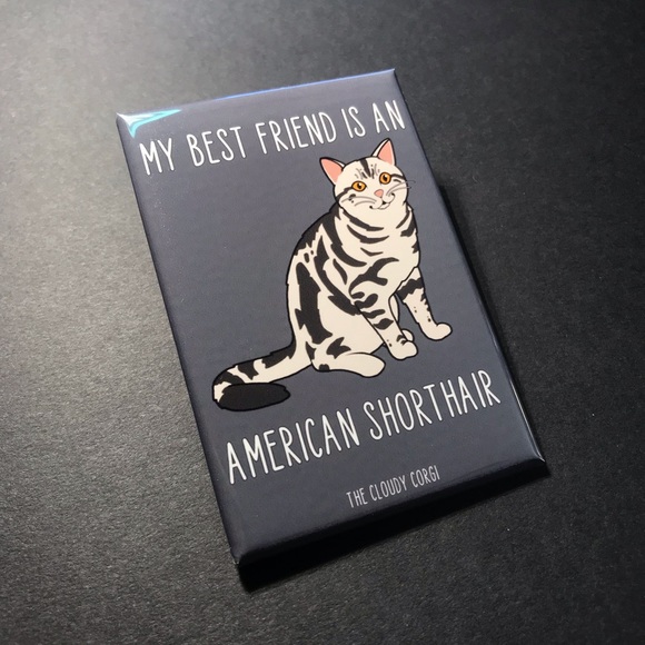 American Shorthair Cat Magnet Handmade Kitty Decor - Picture 5 of 8